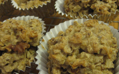 Oat Cake Recipe by Go Fit Now